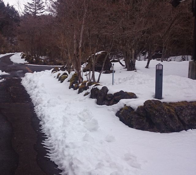 別荘前の積雪（2018年2月）