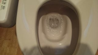 便器の水がこおっている