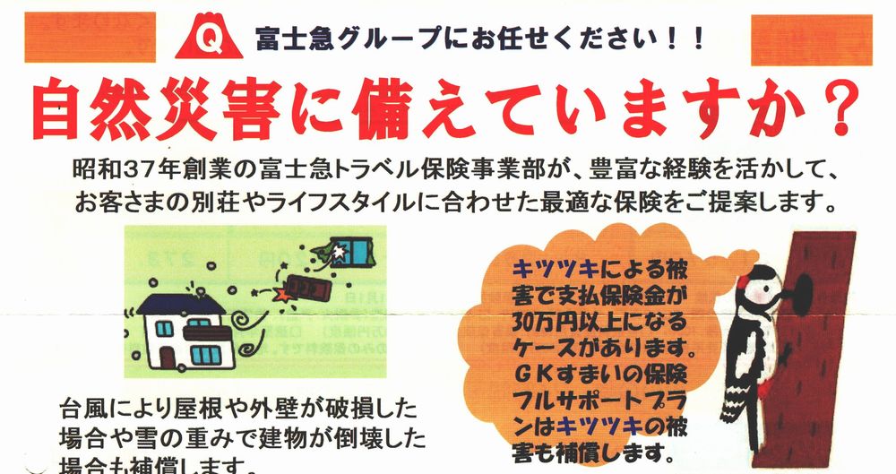 キツツキ対策保険