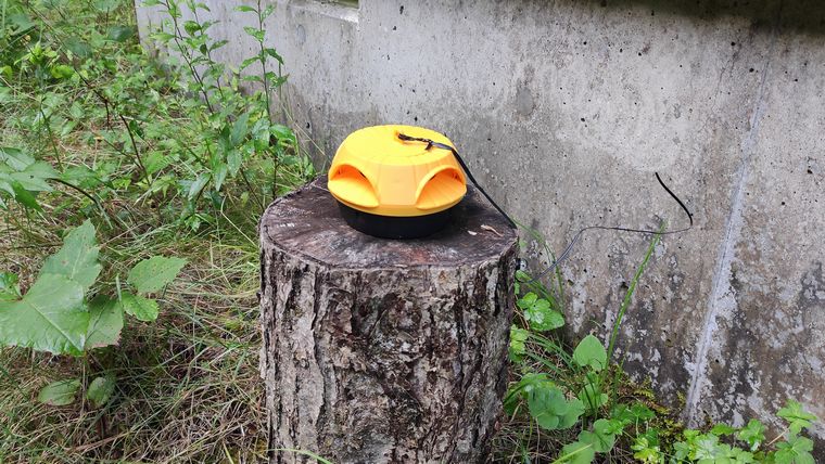 ハチの巣コロリ