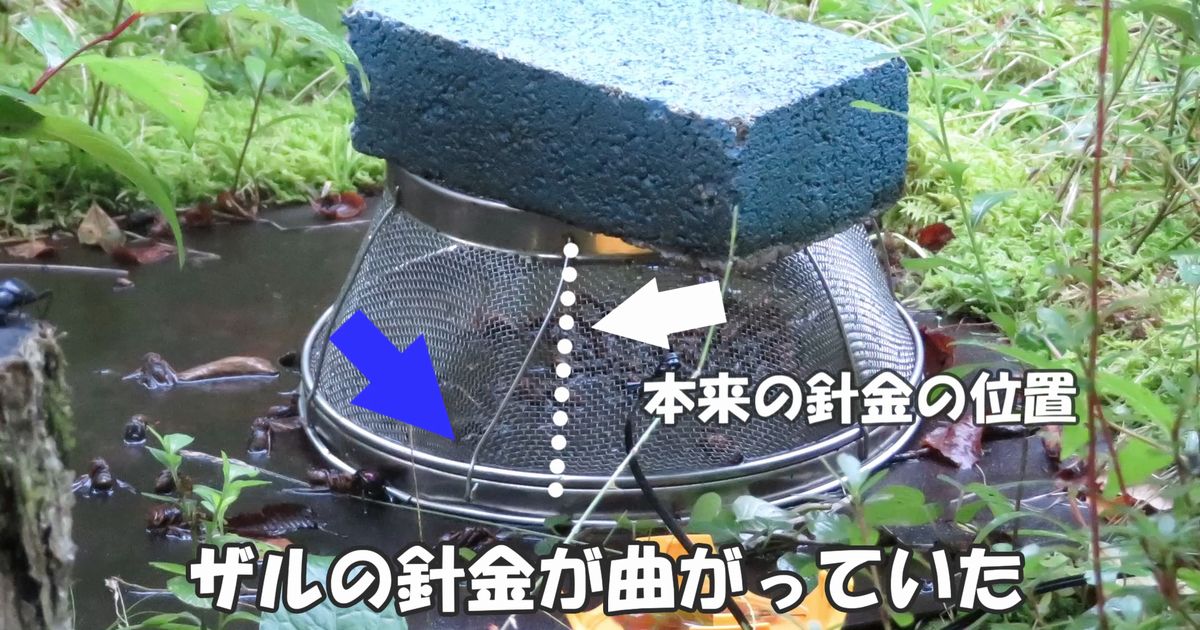 ザルがこわされる