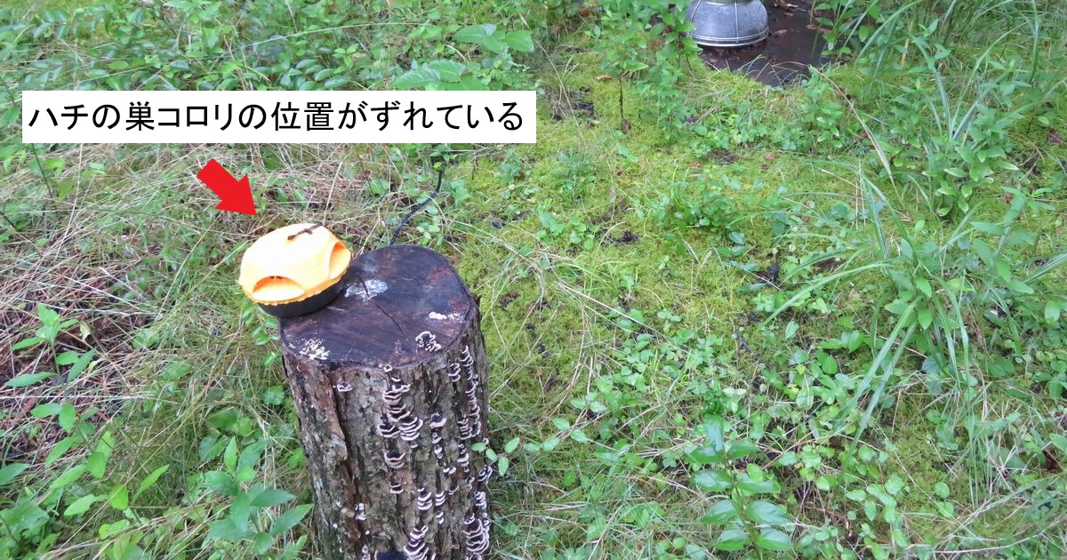 位置がずれた「ハチの巣コロリ」
