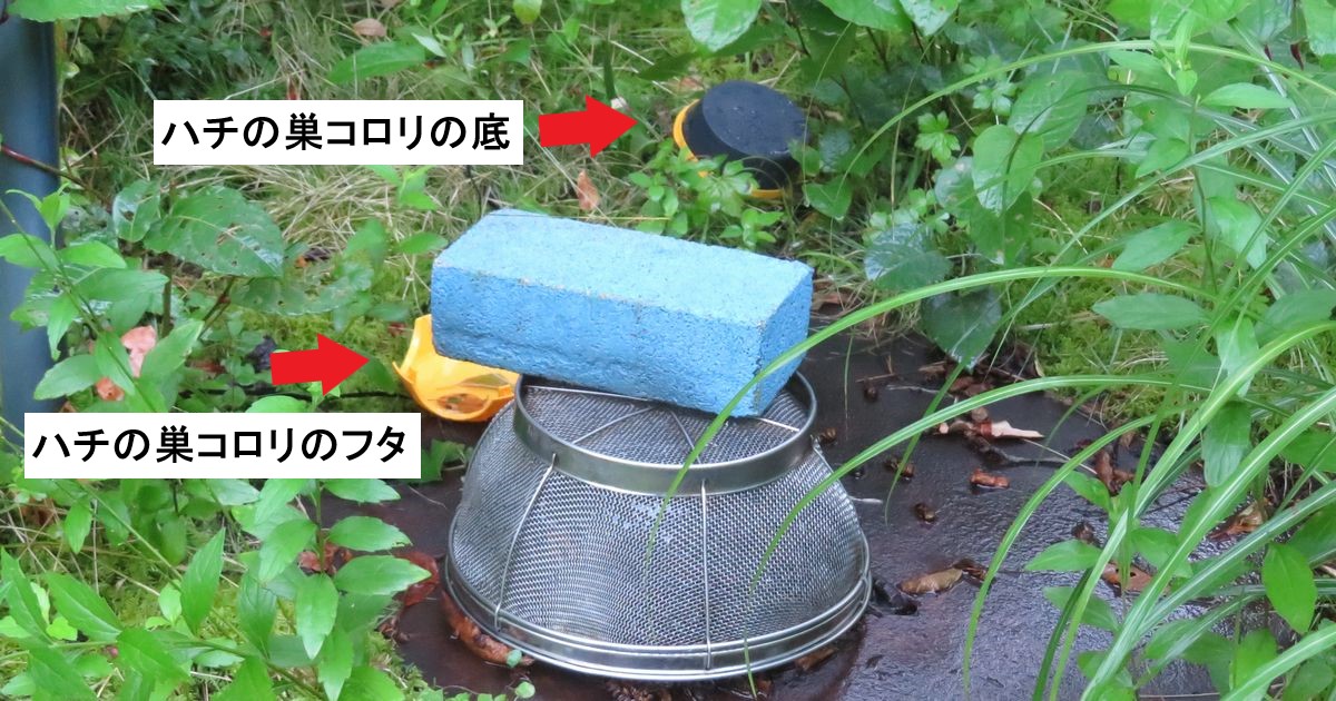破壊された「ハチの巣コロリ」
