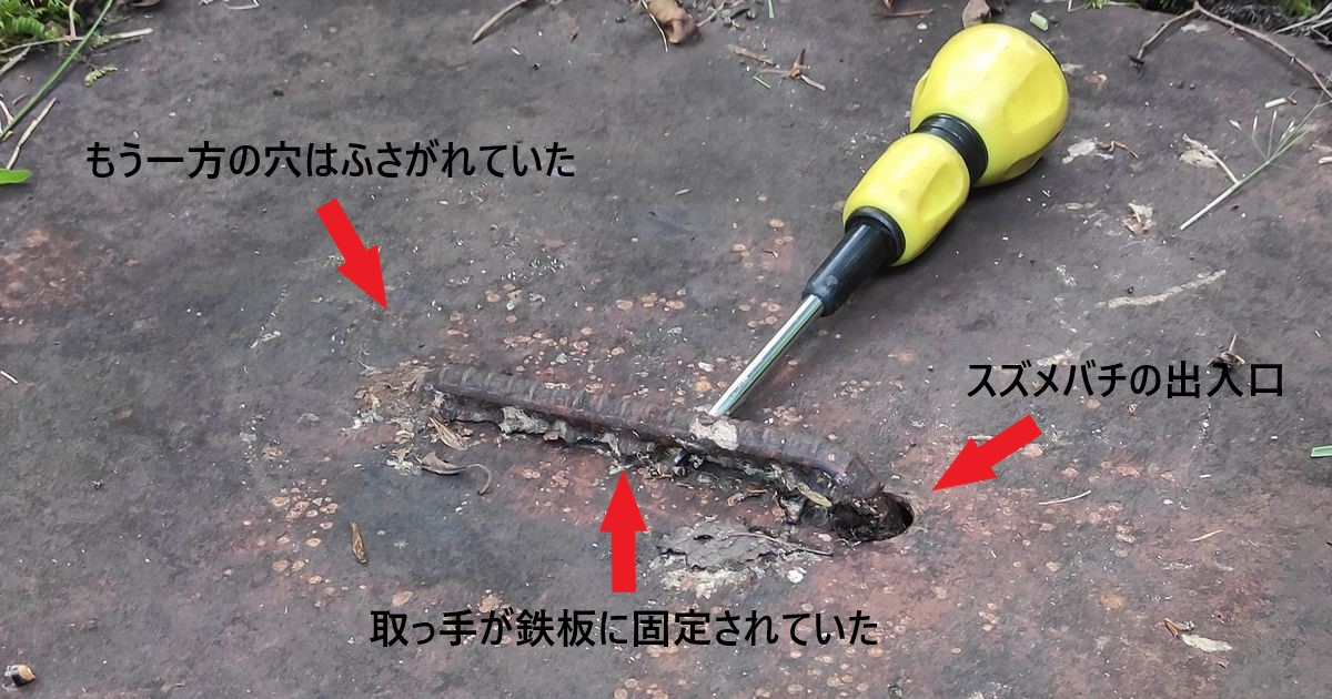 スズメバチにより接着された取っ手