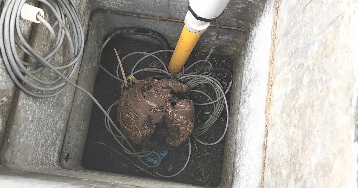 止水栓マスに落下したスズメバチの巣